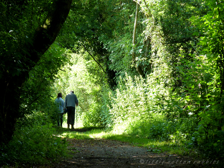 Out for a walk