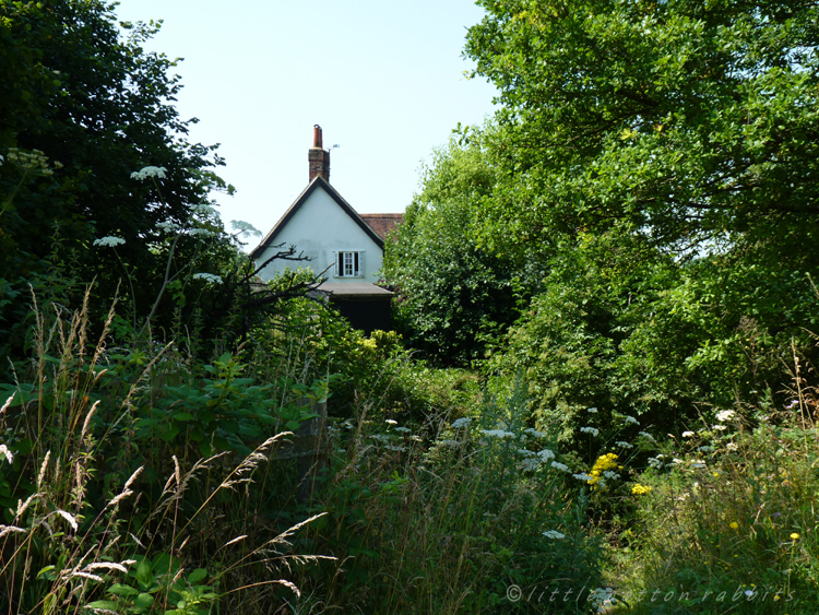 House in thetrees