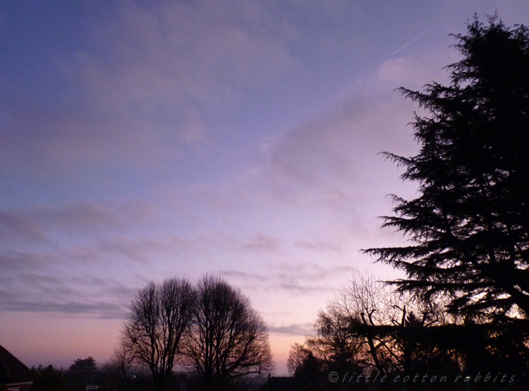 Dawn Dawn