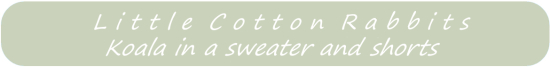 Boy banner