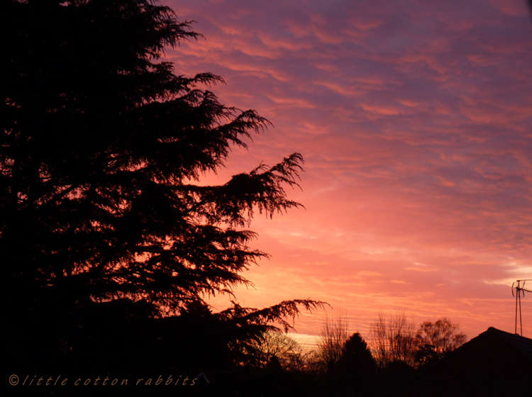 Winter sunrise