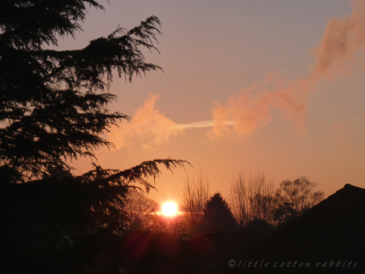 Dawn2 Dawn2