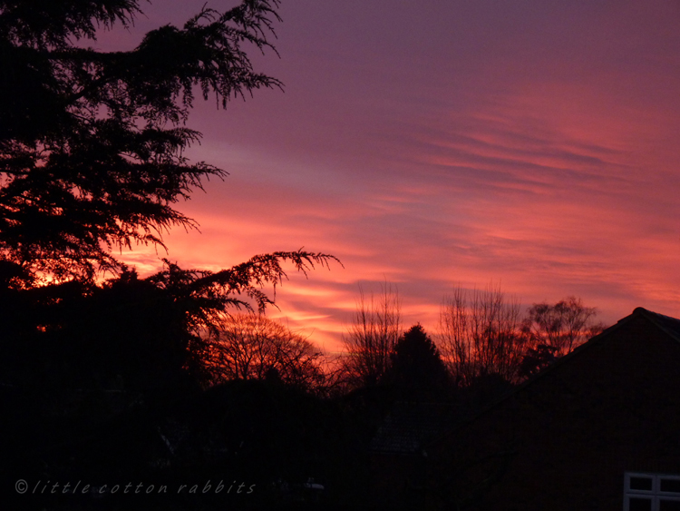 Daybreak Daybreak