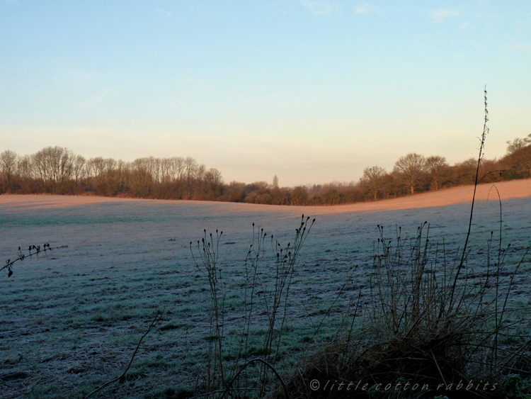 Frosty dawn