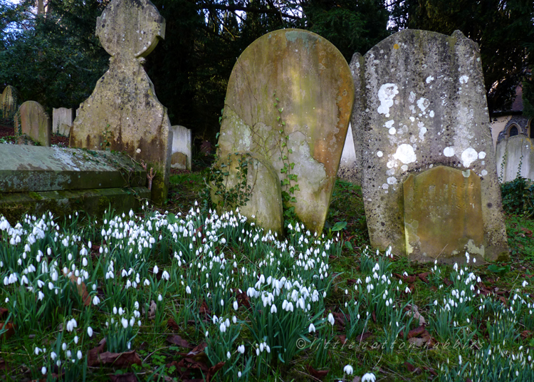 Leaning gravestones