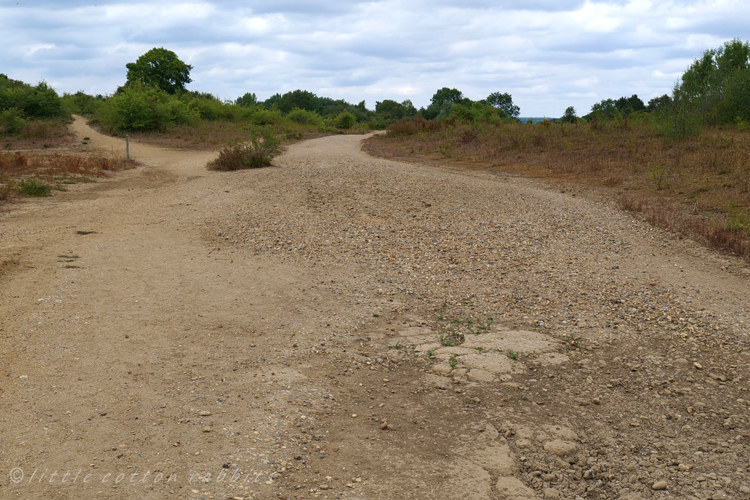 Dry paths