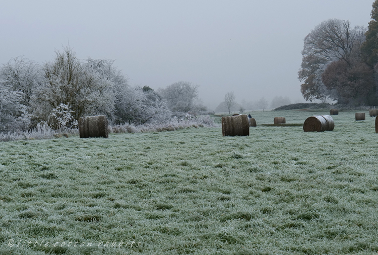 Frosty fields2