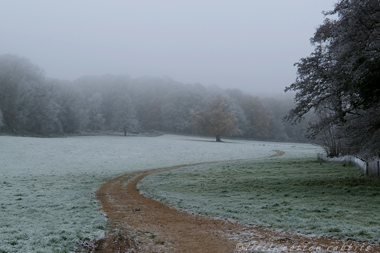 Path frosty