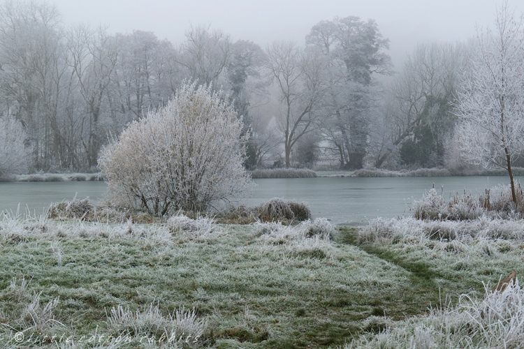 Frosted lake