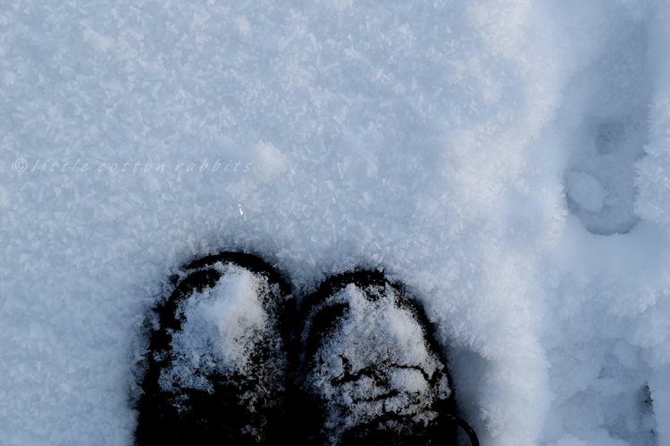 Snow crystals