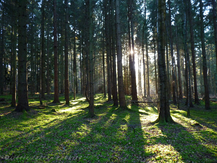 Lightshafts