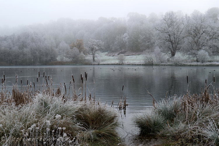 Lakefrost