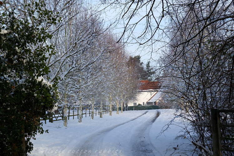 Snowy track2