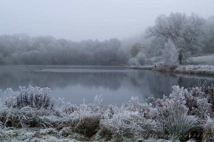 Frosted lake2