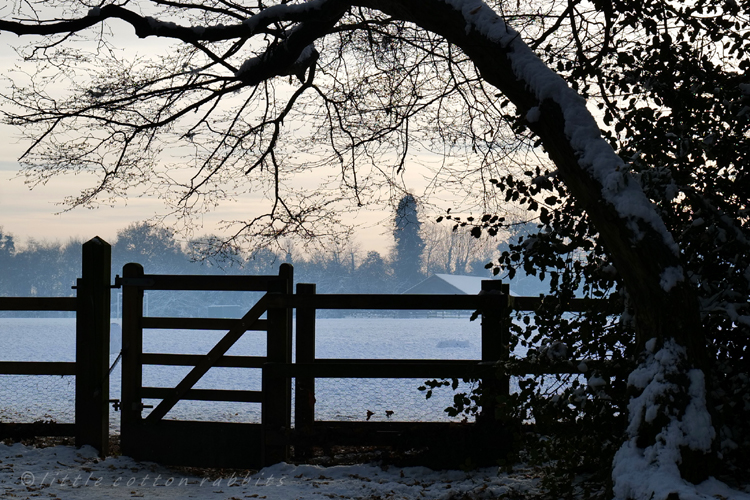 Gate to the field