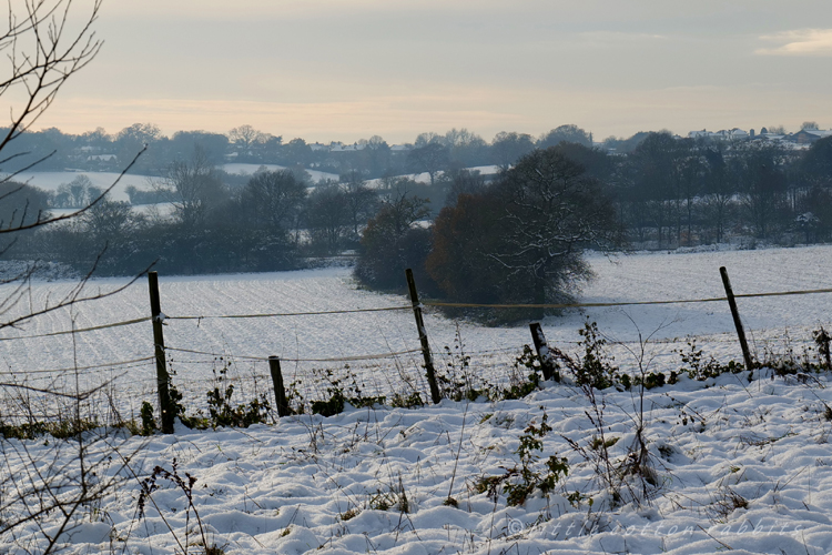 Snowy landscape