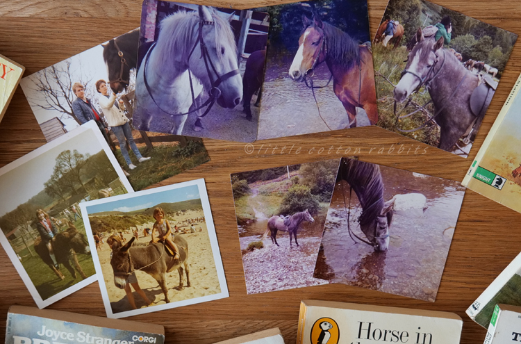 Horse pictures