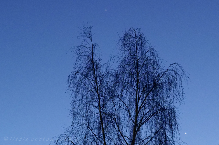 Jupiter and venus