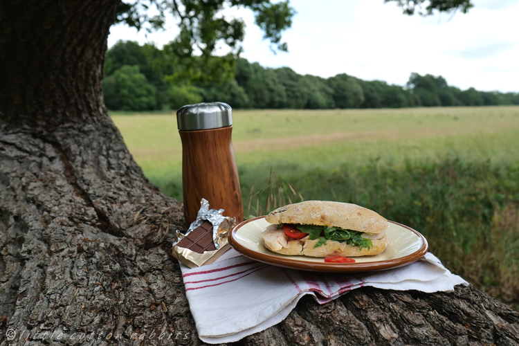 Picnic lunch