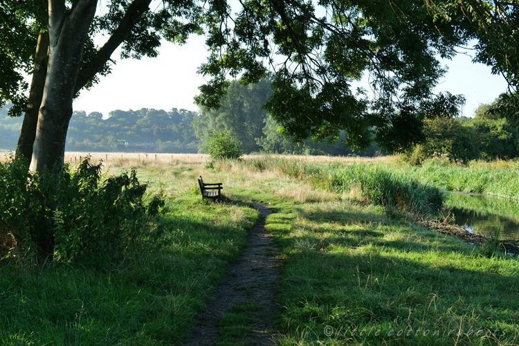 River bench