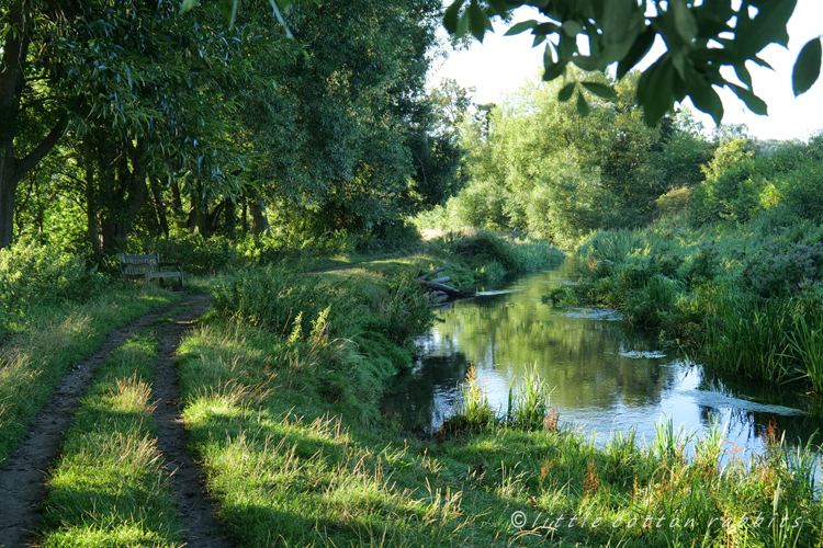 Riverbench