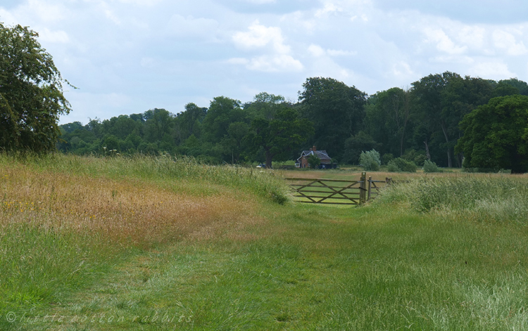 Towards lake house