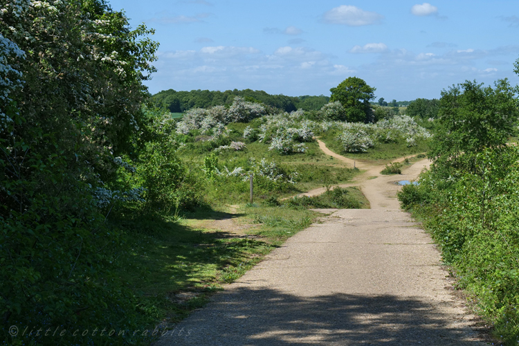 Heath path