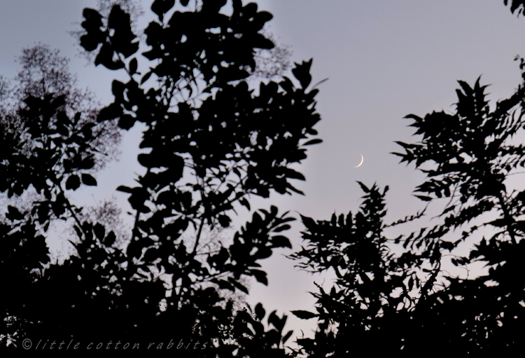 Fingernail moon