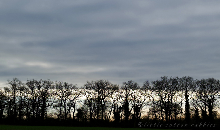 Treeline2