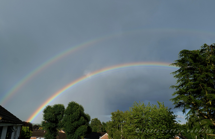 Doublerainbow