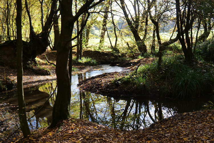 Stream crossing