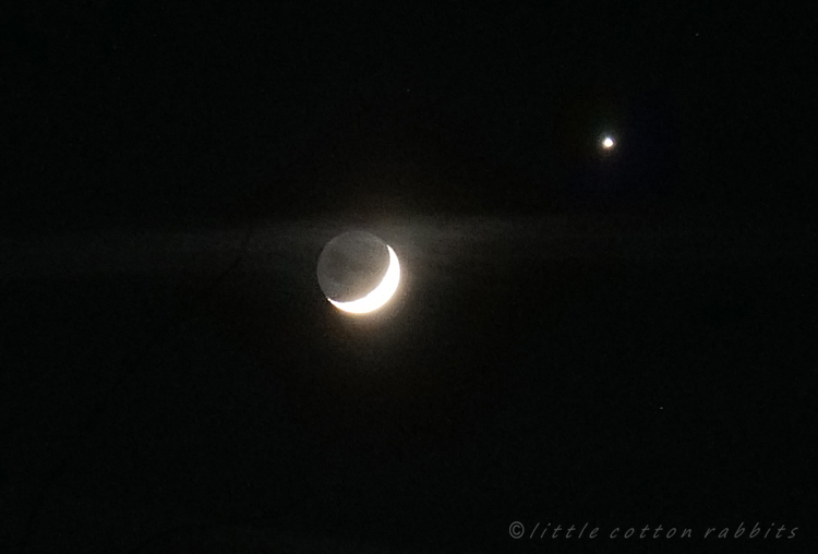 Cresecent and venus