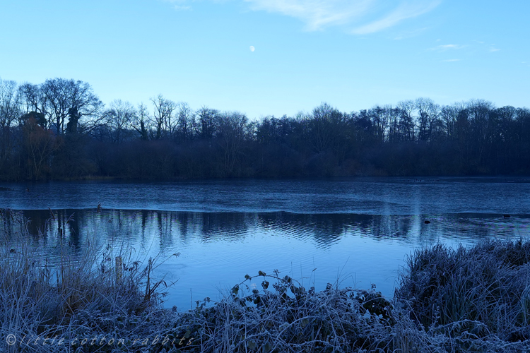 Moon over lake2