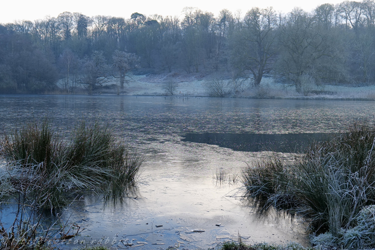 Iced lake