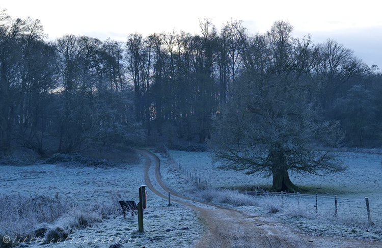 Frosty hill